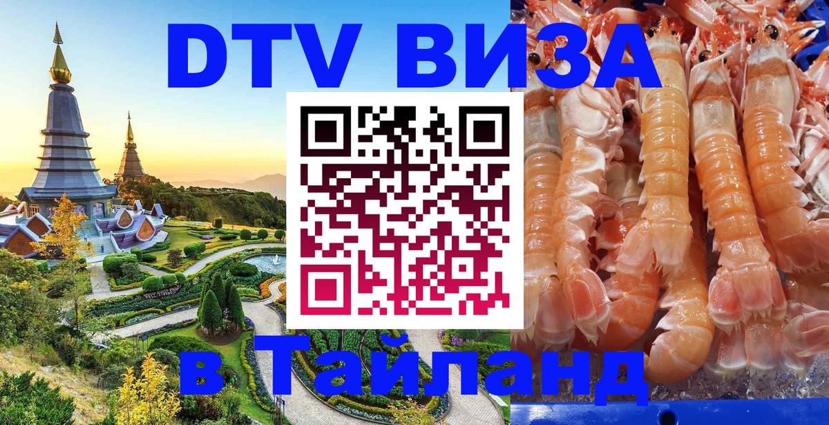 Оформление DTV визы под ключ: стоимость и тарифы, только загранпаспорт - 19.11.2025 